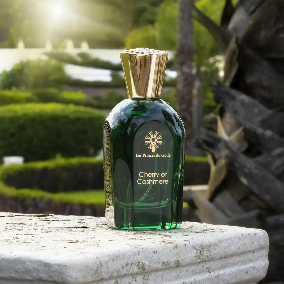 Cherry of cashmere - Les princes du golfe